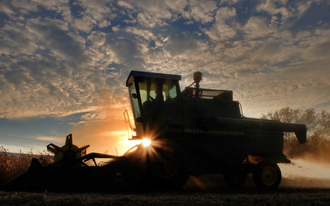 12 milioni di euro per la diversificazione della attività agricole (prorogato al 15 gennaio 2018)